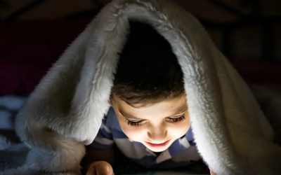 What do Foster Carers need to know about the Social Media Ban?